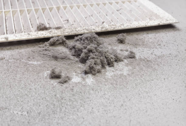 Best Home Air Vent Cleaning  in Murfreesboro, TN