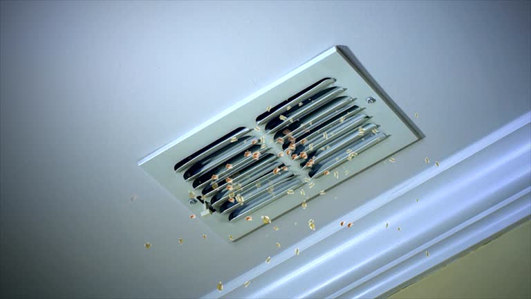 Best Local Air Duct Cleaning Services  in Murfreesboro, TN