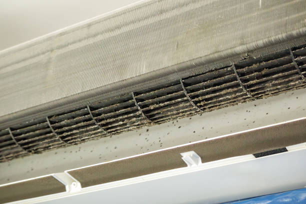 Best HVAC Air Duct Cleaning  in Murfreesboro, TN